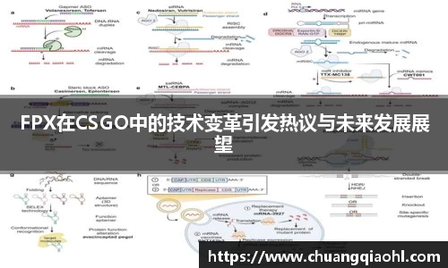 FPX在CSGO中的技术变革引发热议与未来发展展望